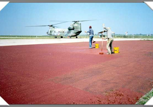 <a href="schede/art-168-poligum-finitura">poligum finitura</a>