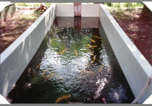 Realizzazione e Impermeabilizzazione Piscine 6